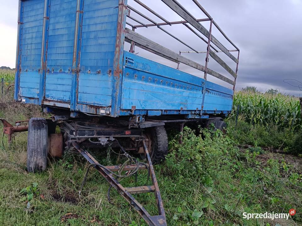 przyczepa bdf Pozostałe