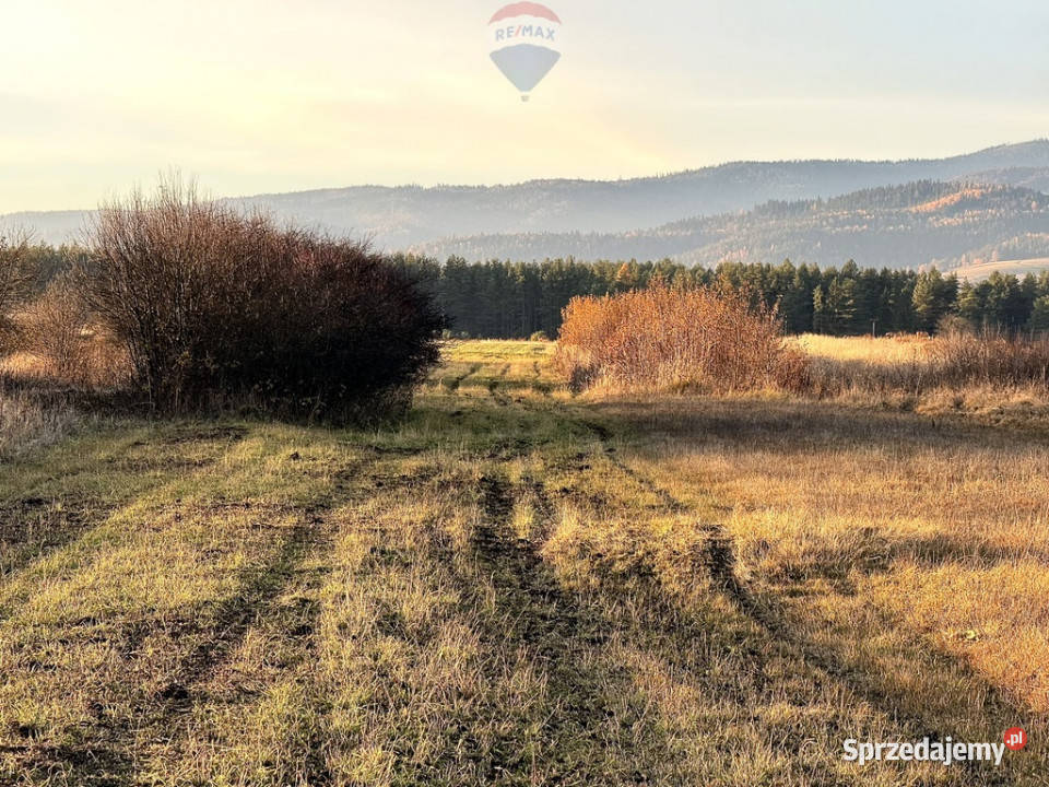 Nieruchomość gruntowa Frydman