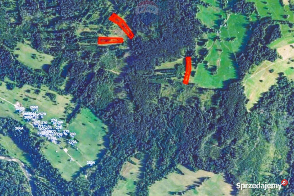 DZIAŁKI ROLNE SPRZEDAŻ DZIANISZDZIEDZICÓWKA małopolskie Dzianisz
