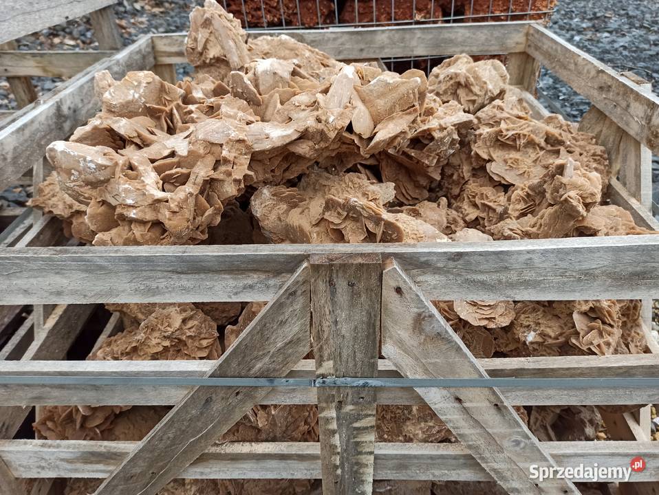 Róża Pustyni Kamień do akwarium bryła do ogrodu Oświęcim