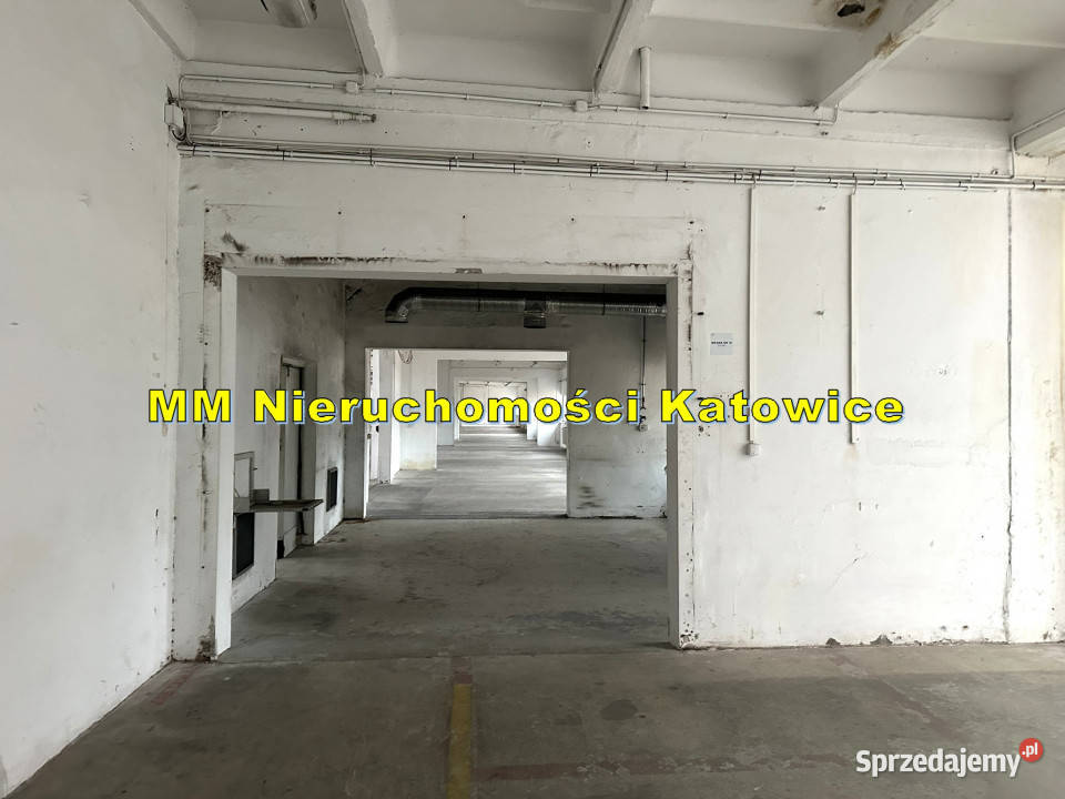 wynajmu lokalu 1325m2 Katowice śląskie