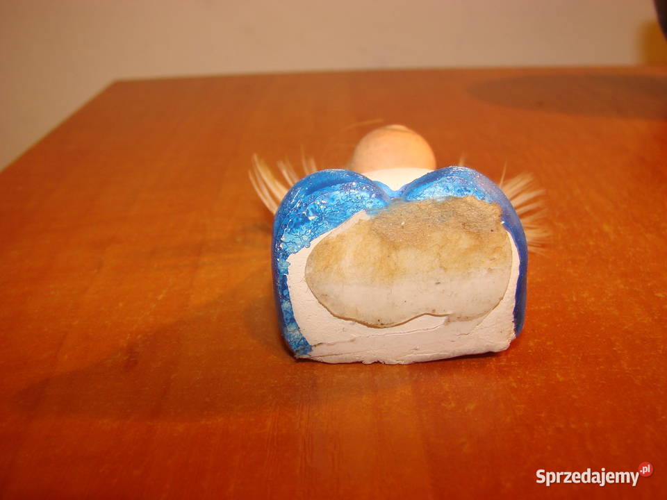 Aniołek kaszubski pomorskie