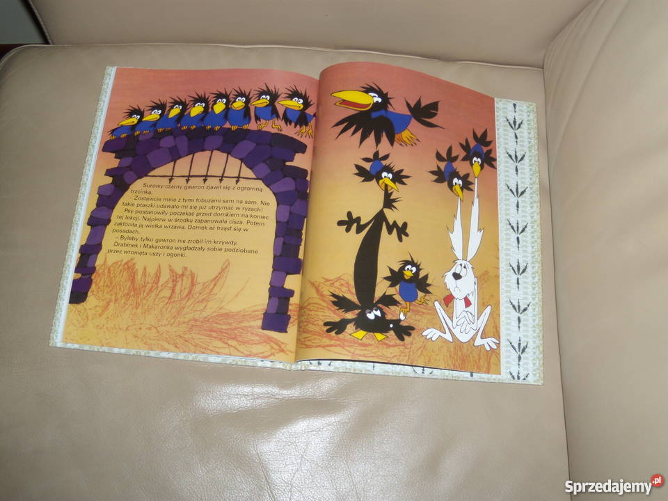 Książka Drabinek i Makaronka Alena i Jiri Warszawa sprzedam