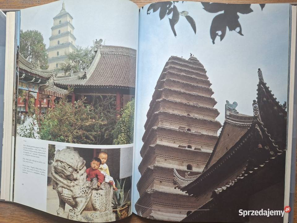 Cina Anna Doleżalowa j słowacki Kultura i Rozrywka małopolskie Kraków sprzedam