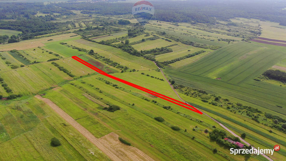 Działka rolna PorębaNiwki śląskie Poręba