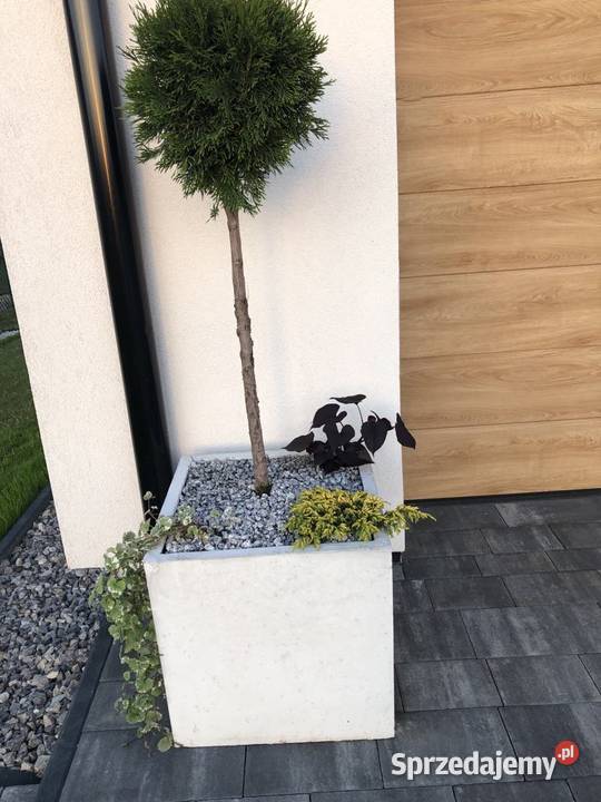Donice betonowe różne rozmiary Kielce
