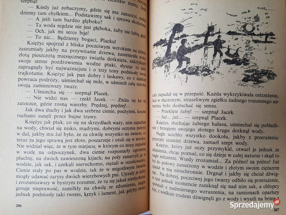 Powieść młodzieży O DWÓCH TAKICH CO UKRADLI Złotniki sprzedam