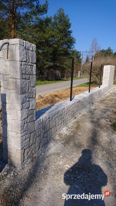 PIASKOWIEC nieregularny białoszary dzikówka Pozostałe mazowieckie
