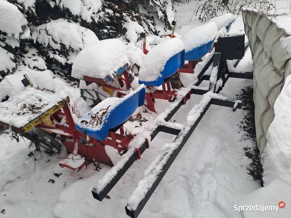 Sadzarka do rozsady tytoniu ziół lubelskie Obsza