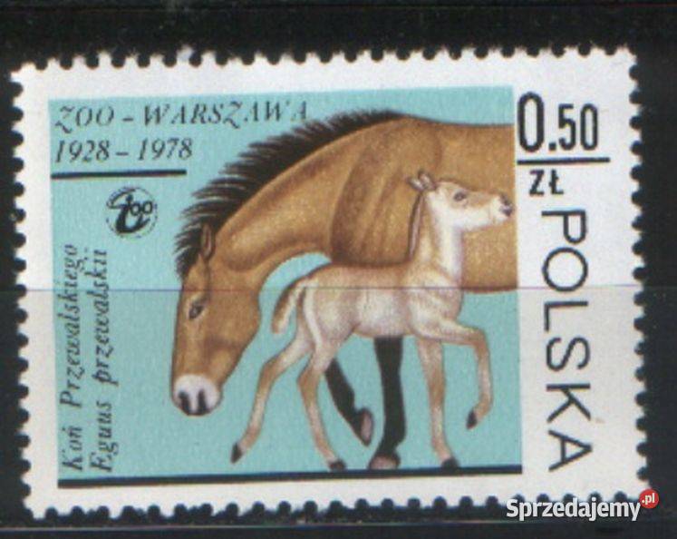 Zn Fi wykaz w opisie 1978 śląskie