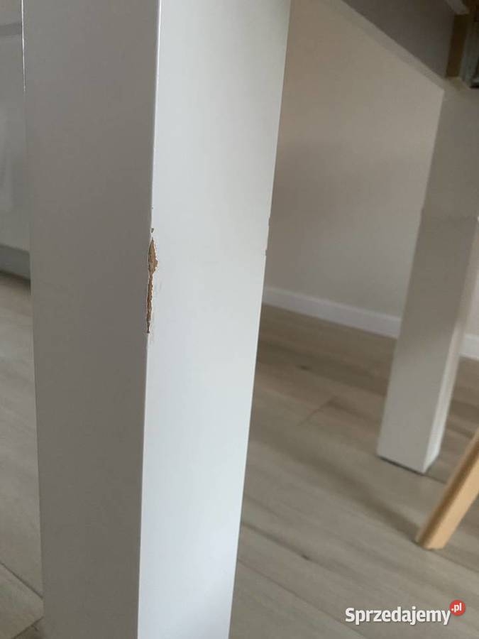 stół jadalniany drewno biel 80x120250 rozkładany Stoły Borowiec