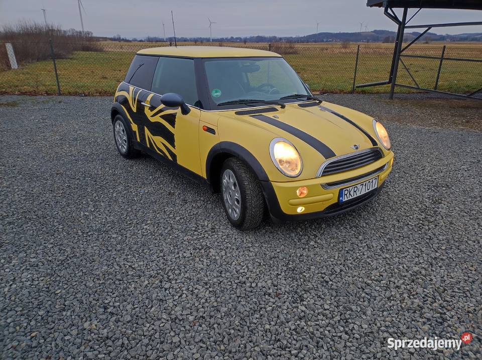 Mini One 16 podkarpackie Rymanów