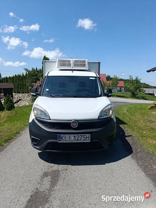 Wynajem Auto Chłodni Chłodnia na Wynajem Wynajem sprzedam