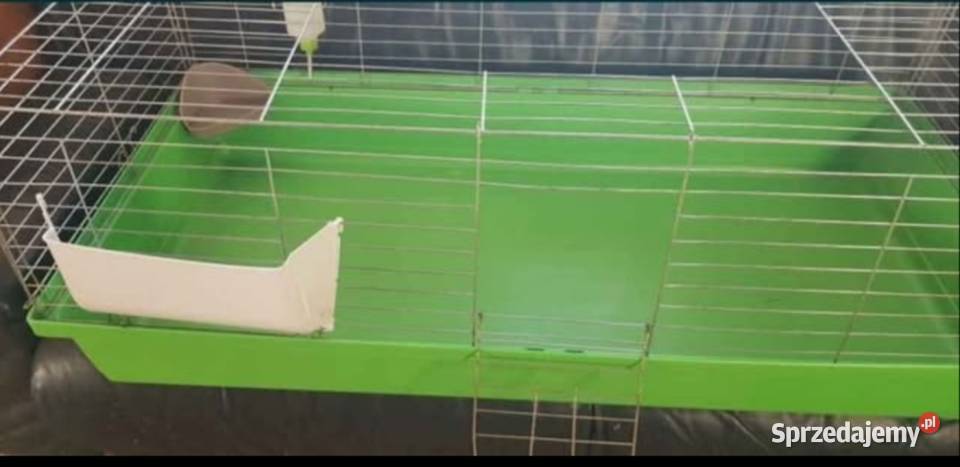 Duża klatka królika świnki morskiej Lwówek Śląski