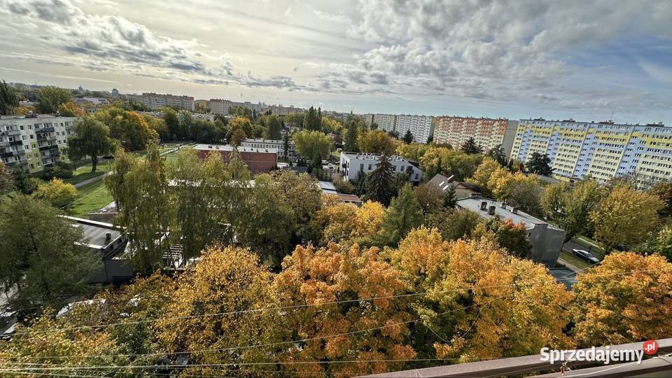 Okazja M3dwa pokoje z kuchnią i balkonem 8 Mieszkania Łódź