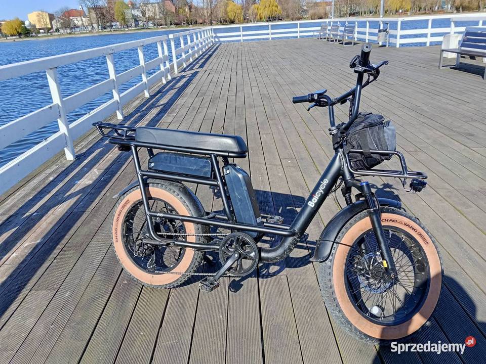 Rower Elektryczny Baicycle A15 Dwuosobowy Żnin