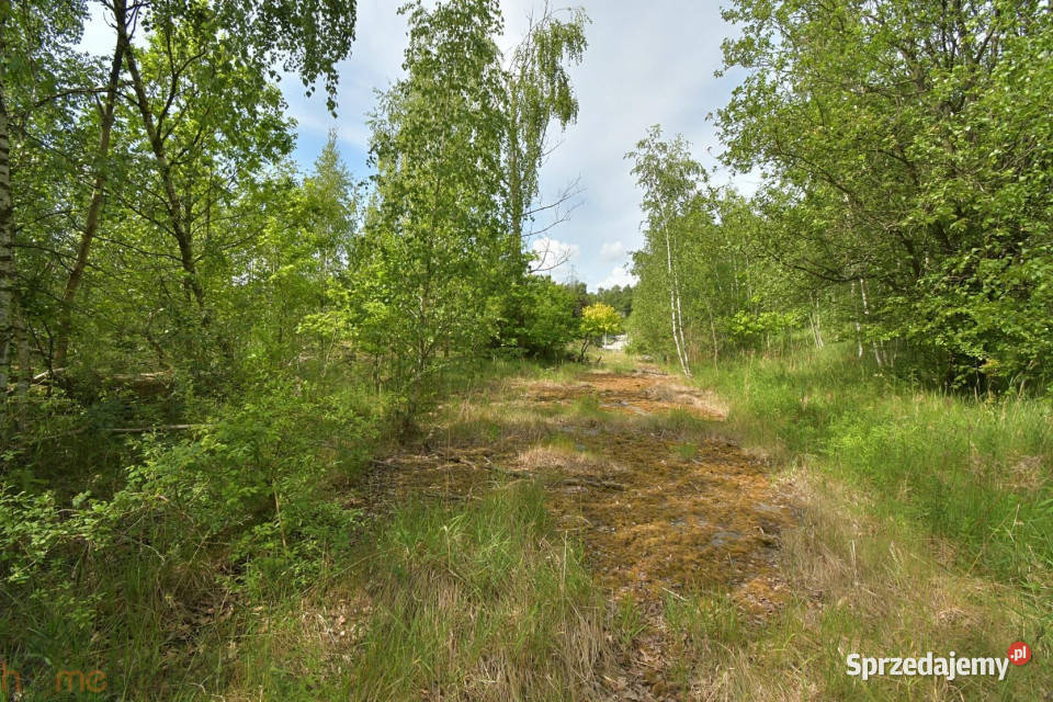 Działka Wałbrzych Ludowa 14508m2 inwestycyjna sprzedam