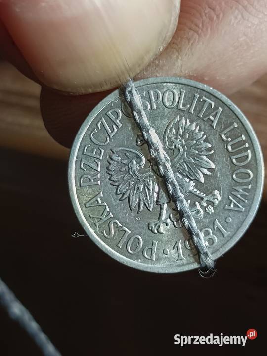 Sprzedam 20 gr 1981 r mala skretka