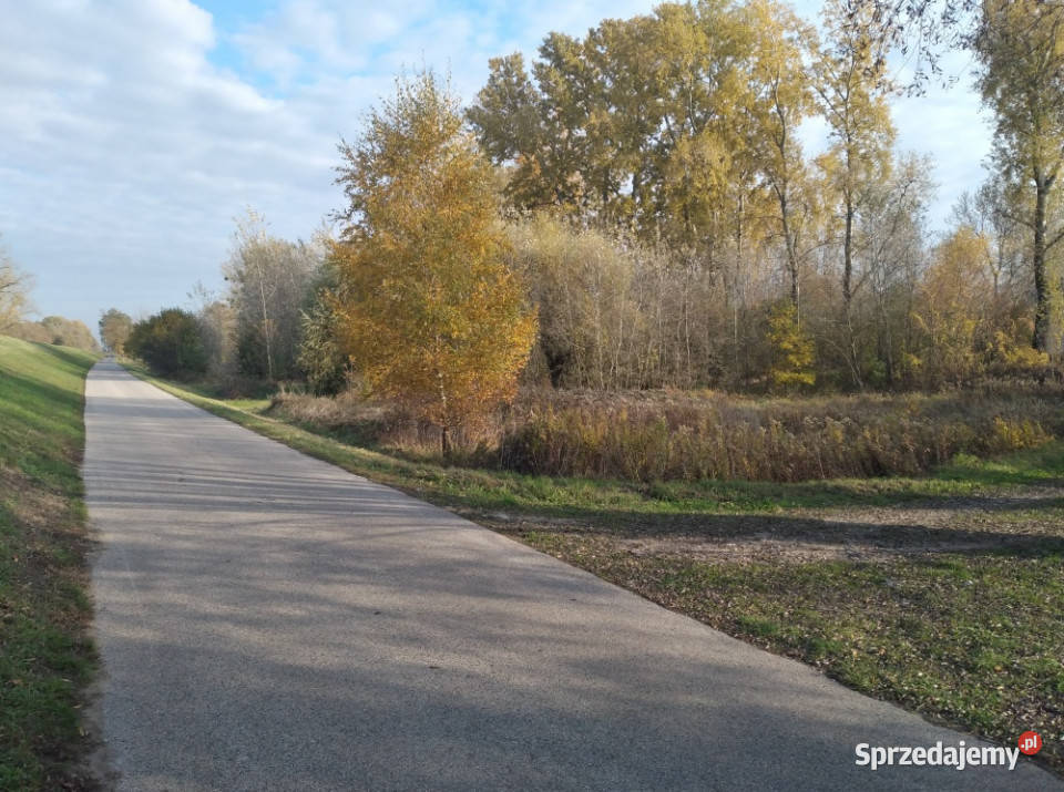 Wisłą Stare Gniewniewice