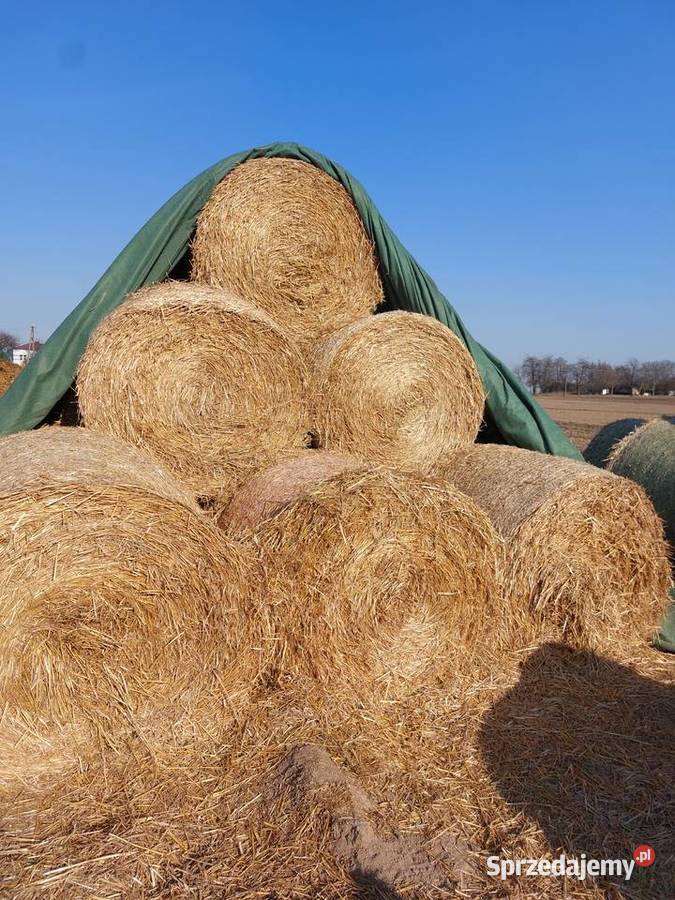 Słoma lubelskie Czesławice