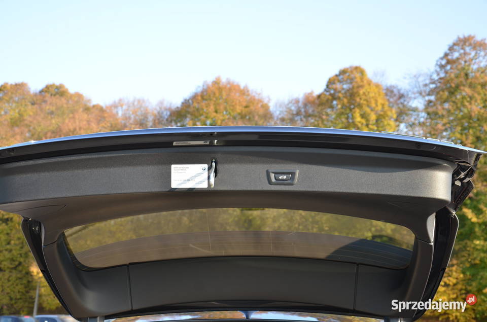 BMW X3 G01 automatyczna lubelskie
