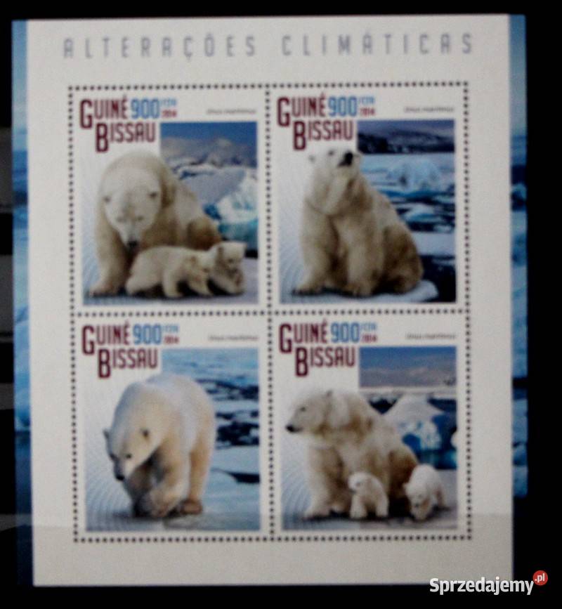 Gwinea Bissau miś polarny Oborniki