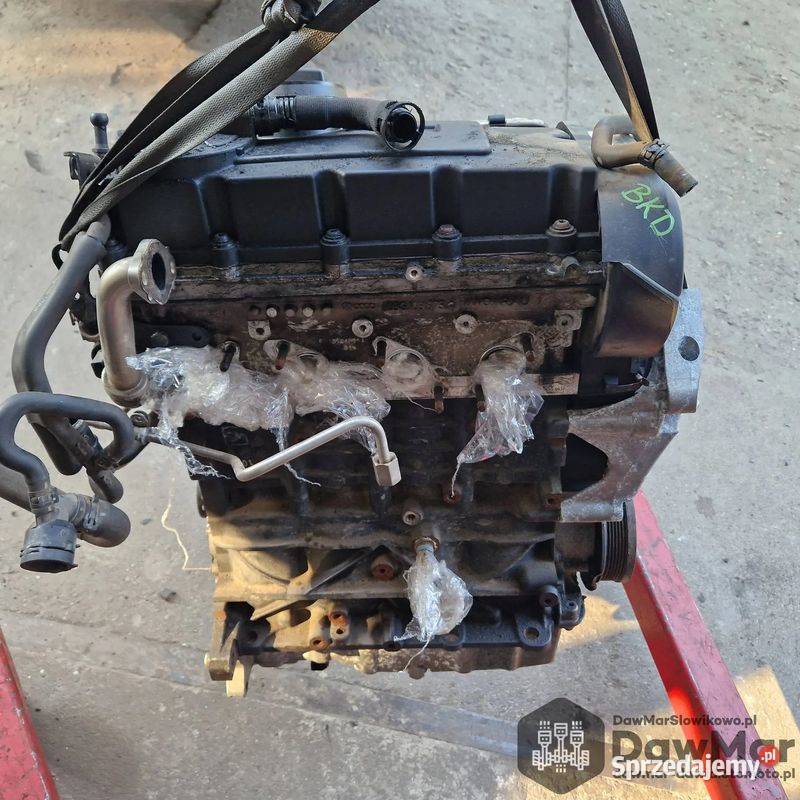 VW Silnik 20 TDI BKD 223 przebieg bez osobowe Słowikowo