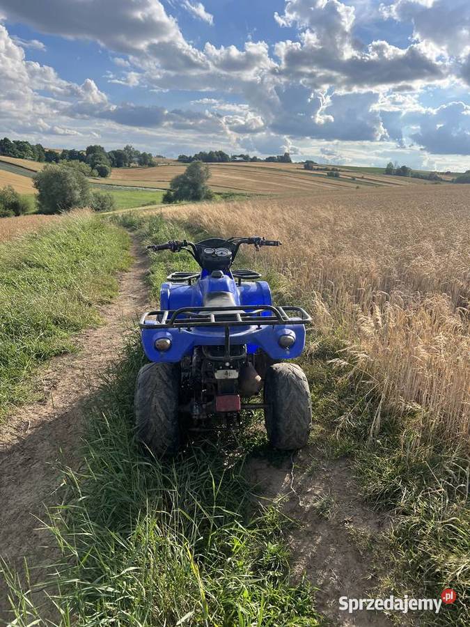 Quad eton 100 2t Pałecznica