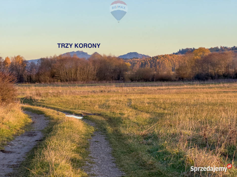 Nieruchomość gruntowa Frydman 8m