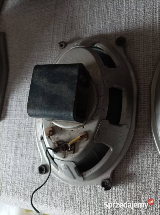 Isophon głośniki szerokopasmowe alnico Płock