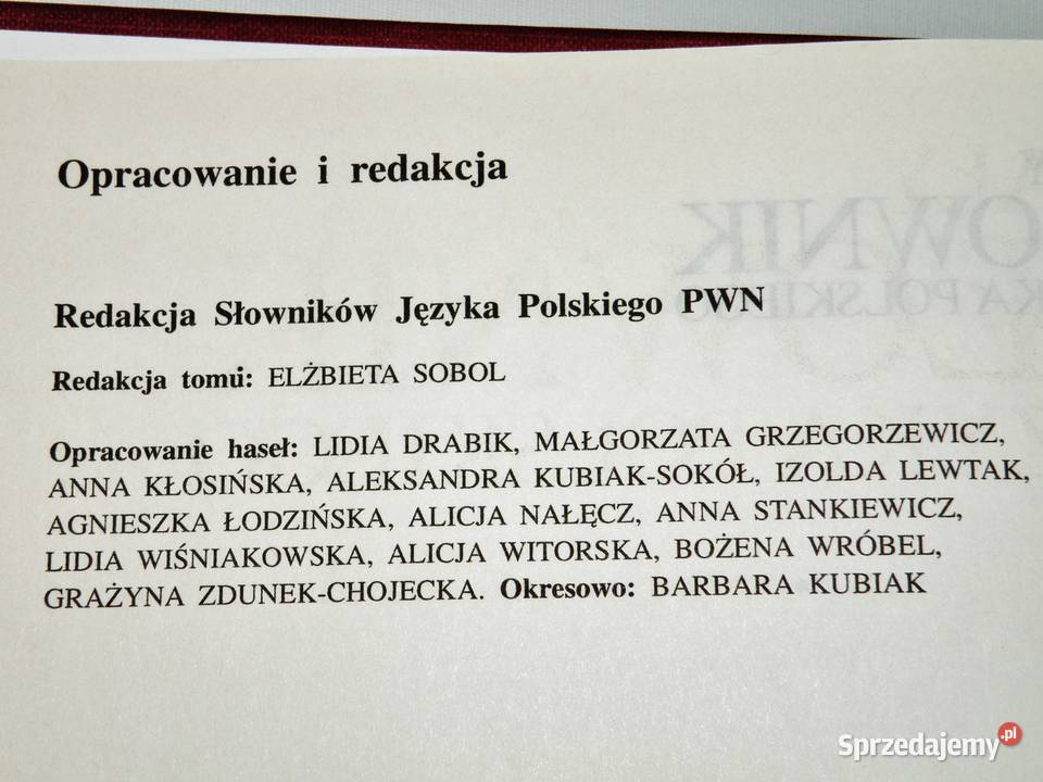Mały słownik języka polskiego PWN 1994 Bydgoszcz sprzedam