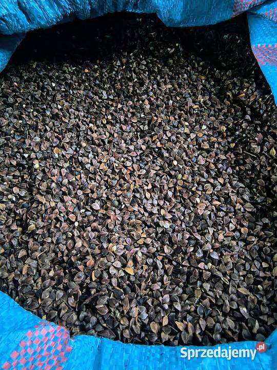 Gryka Przysiółek sprzedam