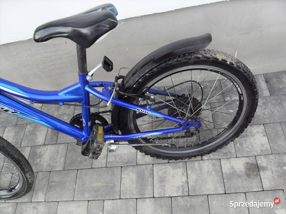 Rower dziecięcy RLAND KING koła 20prerzutki tył 20" Bochnia