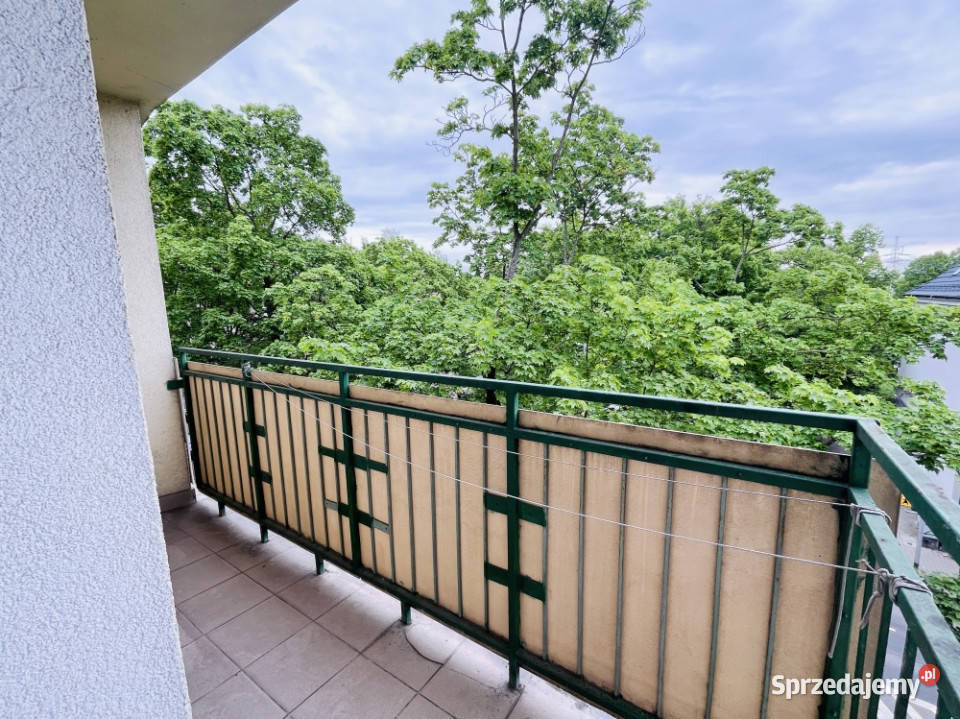 3 pokoje dużo zieleni Sołacz balkon Poznań sprzedam