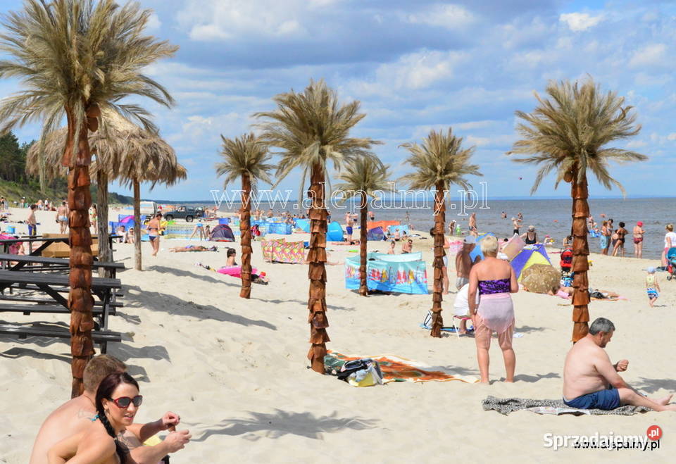 Palma sztuczna Sztuczne drzewka 25m Wąbrzeźno