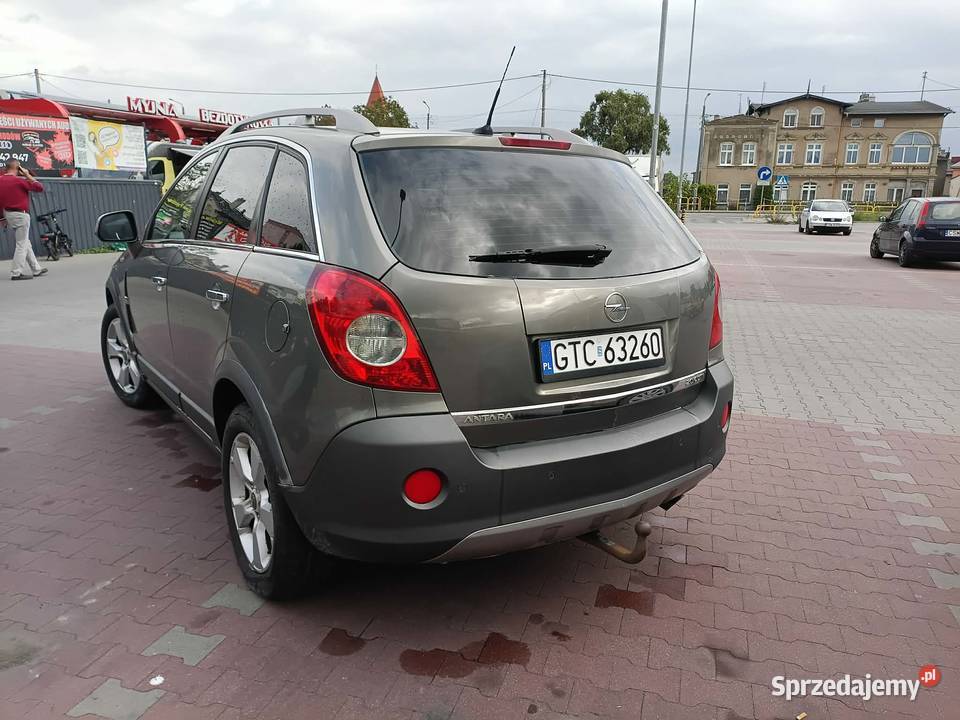 Opel antara Gniew sprzedam