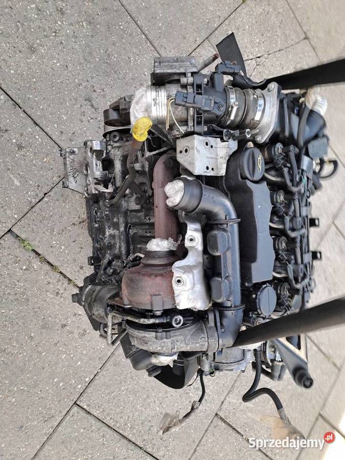 Ford Fokus MK2 16 TDCi 109 skrzynia biegów kod Jastrzębie-Zdrój