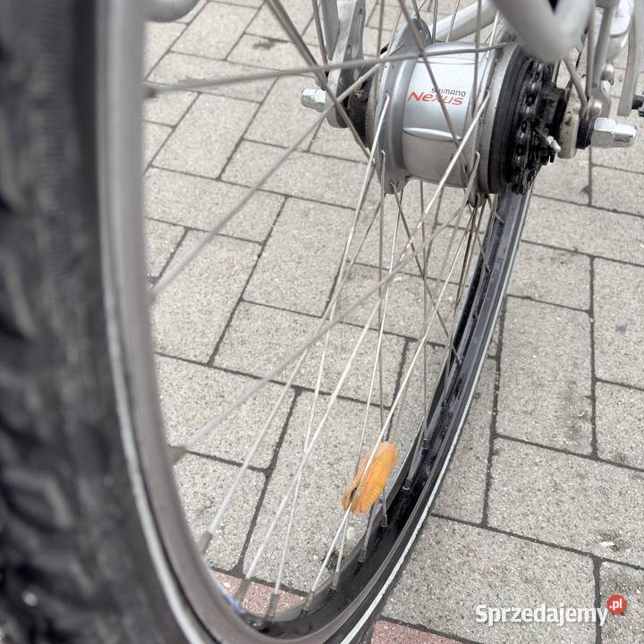 Pegasus Premio 28 Shimano Nexus 8 Alu Kosz Kasyldów