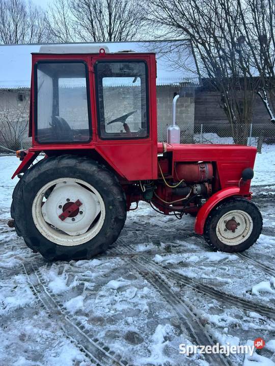 Władimirec T25 z Holandii Chlina