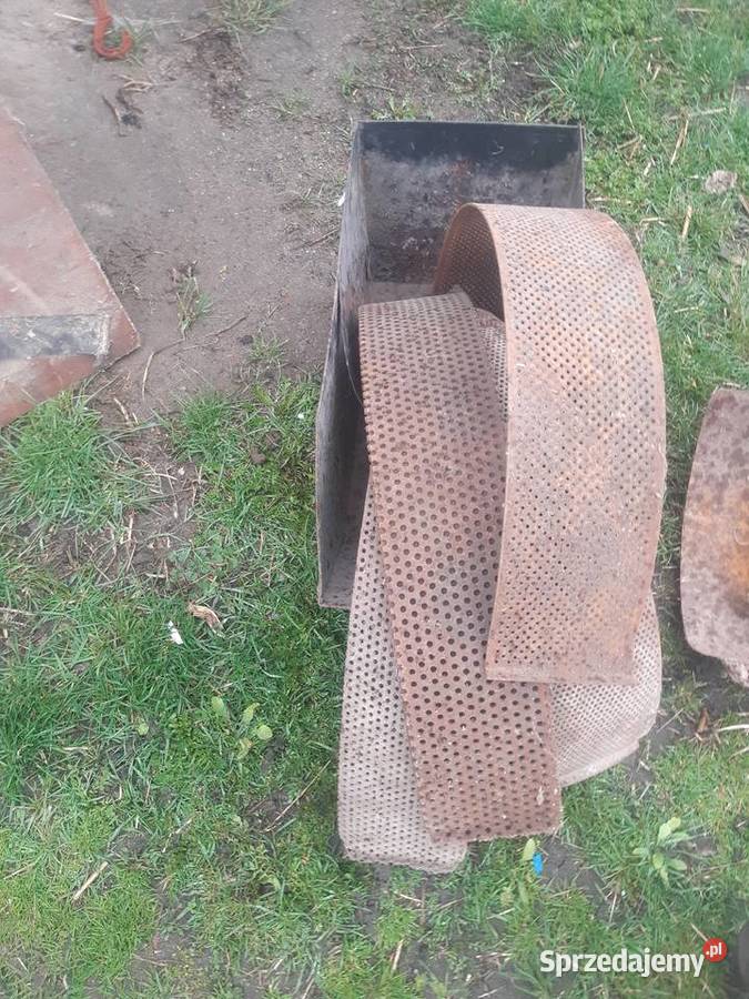 Sita śrutownika bąka