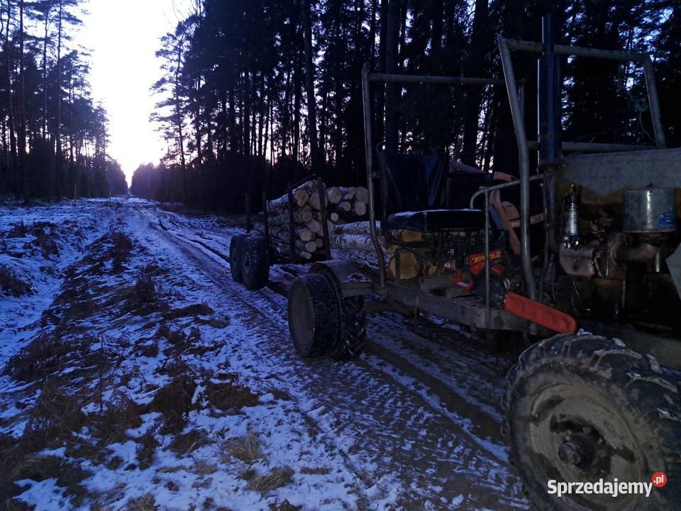 Drewno opałowe brzoza Radostowice sprzedam