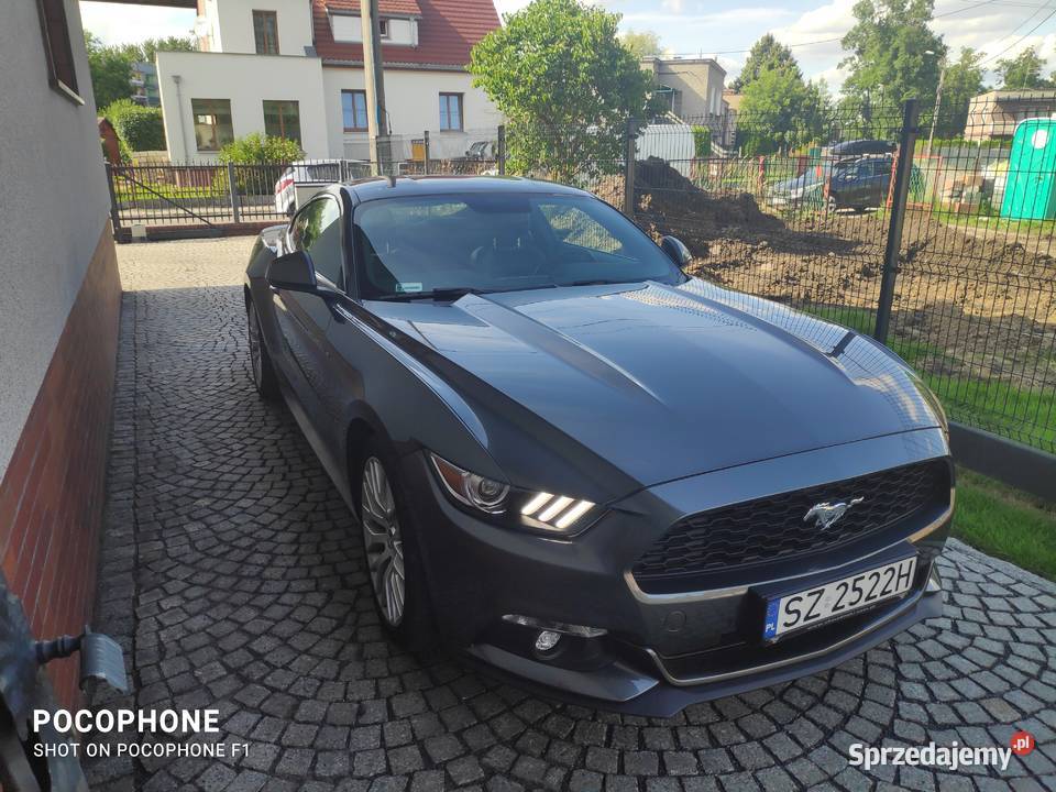 Ford Mustang 23 Zabrze
