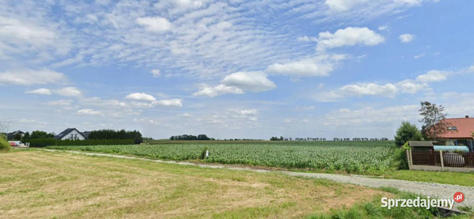 Działka Milejowice 4473m2 sprzedam