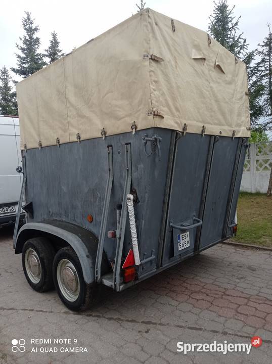 Przyczepa na 2 konie Westwalia 2000 dmc towarowe Skierniewice
