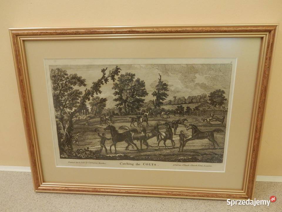 Dziesięć rycin przedstawiających konie do wielkopolskie Piła