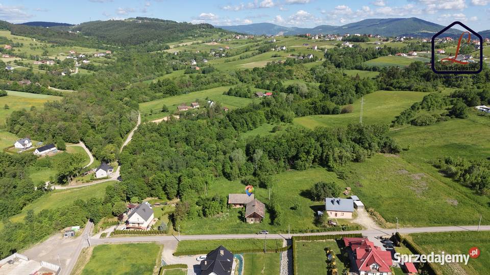 Działka budowlana 61 ar Trzetrzewina gm Chełmiec 6100m2