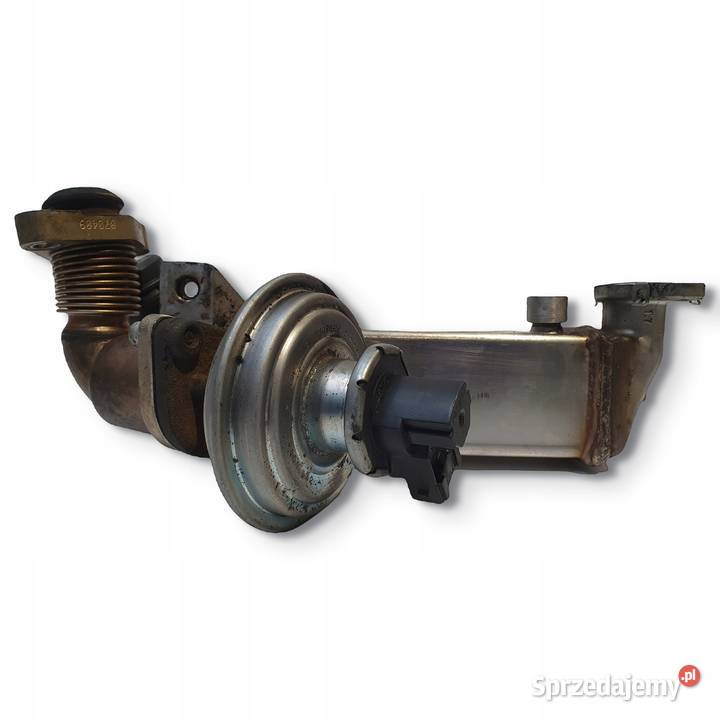 CHŁODNICA SPALIN BMW E60 20 D chłodniczka lubelskie Chełm