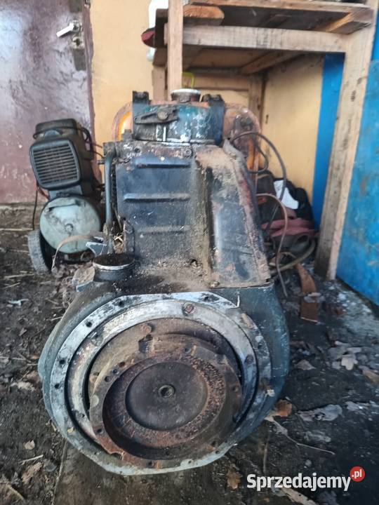 Silnik S10 Pozostałe Łużna