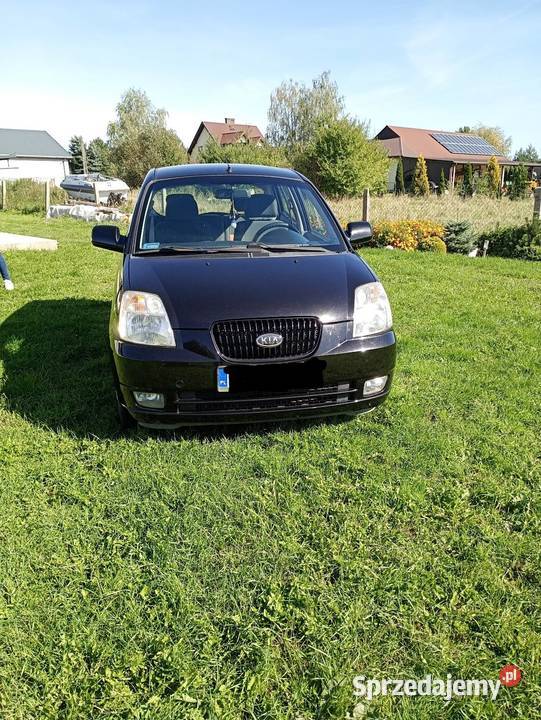Kia Picanto 11 EX Kurów