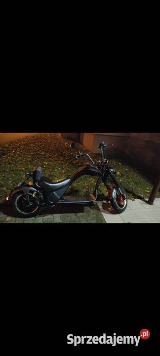 Mademoto Cobra Szczecin